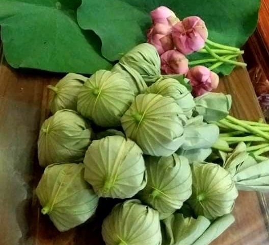 Hoa và búp trà sau khi sấy giữ nguyên cánh