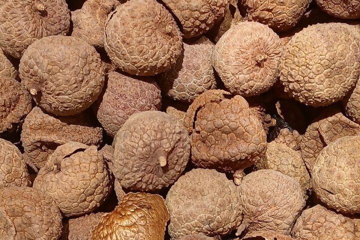 Nguyên liệu vải thiều trước khi đưa vào mẻ sấy tại xưởng gia công