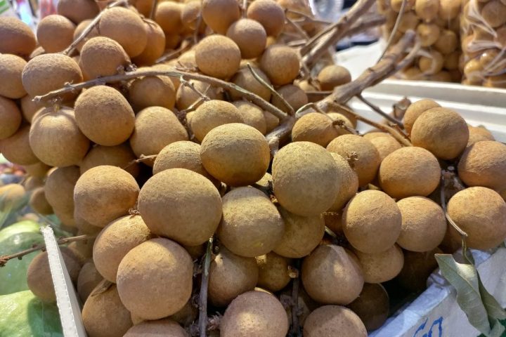 Nguyên liệu nhãn trước khi đưa vào mẻ sấy tại xưởng gia công
