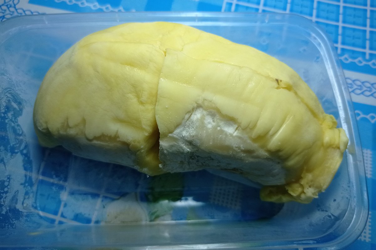 Nguyên liệu sầu riêng trước khi đưa vào mẻ sấy tại xưởng gia công