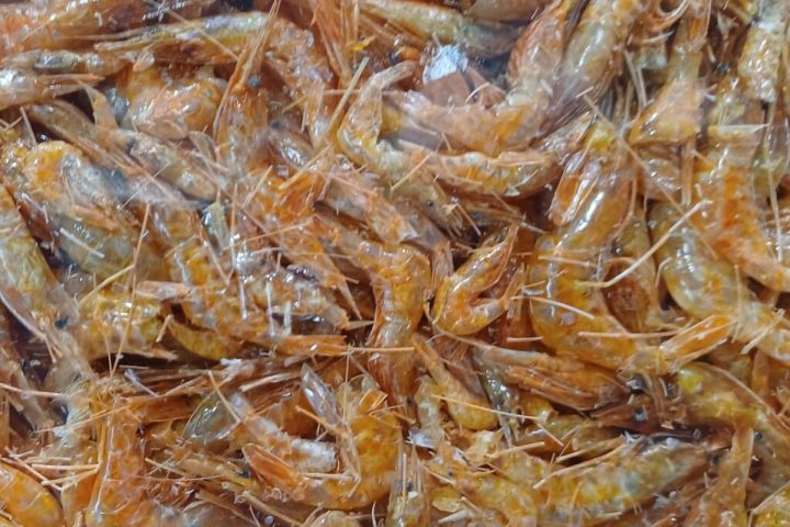 Nguyên liệu ruốc tép trước khi đưa vào mẻ sấy tại xưởng gia công