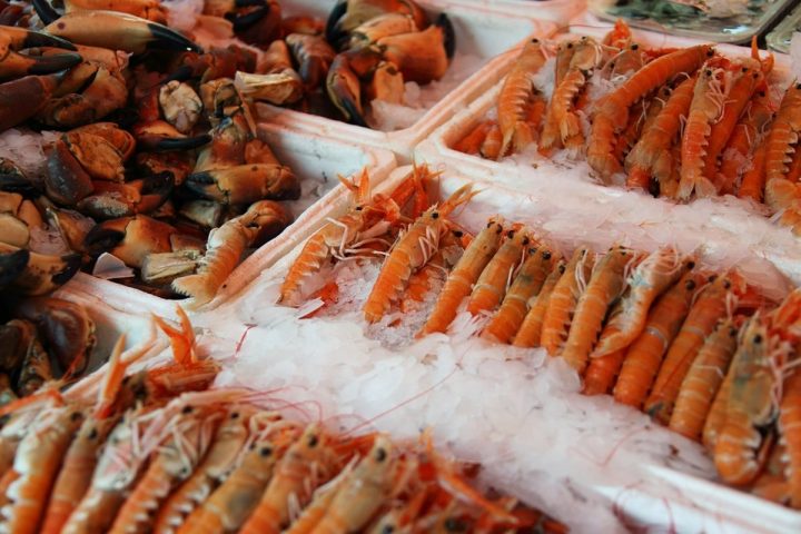 Nguyên liệu tôm trước khi đưa vào mẻ sấy tại xưởng gia công