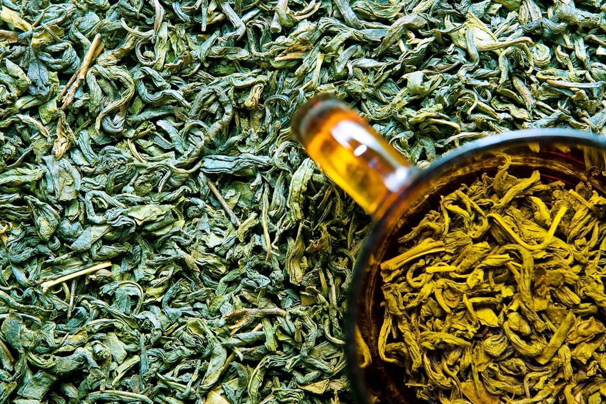 Nguyên liệu trà ô long trước khi đưa vào mẻ sấy tại xưởng gia công