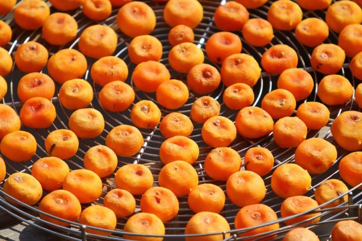 Nguyên liệu hồng trước khi đưa vào mẻ sấy tại xưởng gia công